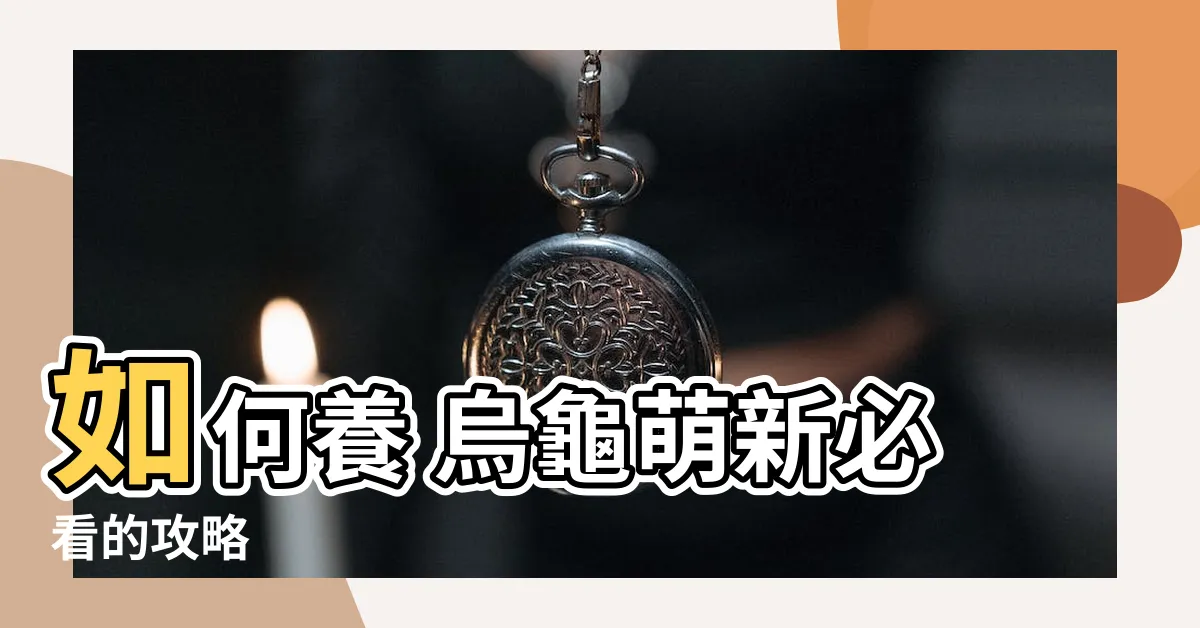 【養 烏龜】如何養 烏龜萌新必看的攻略