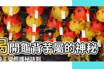 【龜背芋屬】揭開龜背芋屬的神秘面紗：從照護秘訣到毒素謠言一次解析！