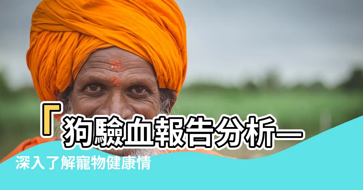 【狗驗血報告分析】「狗驗血報告分析—深入瞭解寵物健康情況」