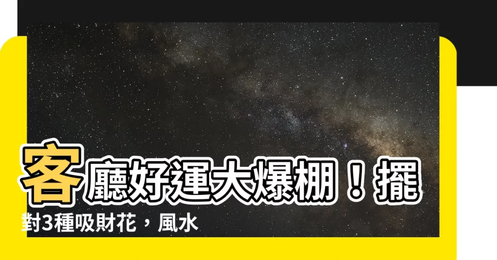 【客廳放什麼花】客廳好運大爆棚！擺對3種吸財花，風水旺家旺財運！