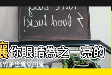 【觀賞竹子】讓你眼睛為之一亮的觀賞竹子世界：田尾玫瑰園的竹子盆栽優惠