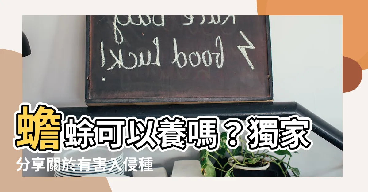 【蟾蜍可以養嗎】蟾蜍可以養嗎？獨家分享關於有害入侵種蟾蜍的照料技巧與圖片！