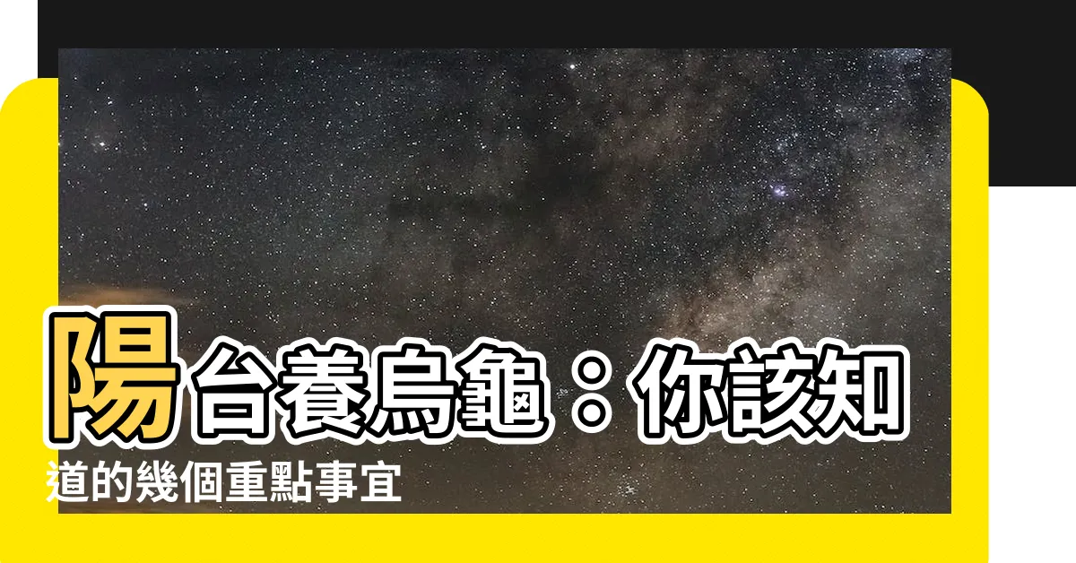 【陽台養烏龜】陽台養烏龜：你該知道的幾個重點事宜
