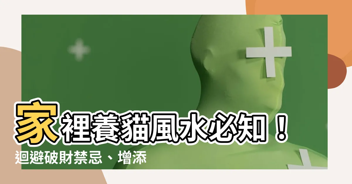 【家裡養貓風水】家裡養貓風水必知！迴避破財禁忌、增添幸運擁有寵物的秘訣