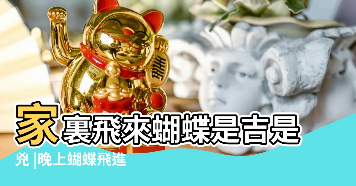 【蝴蝶進屋】家裏飛來蝴蝶是吉是兇 |晚上蝴蝶飛進家的預兆 |蝴蝶進屋有哪些寓意 |
