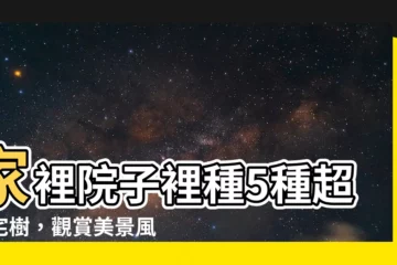 【家裡院子】家裡院子裡種5種超旺宅樹，觀賞美景風水強，財運健康全都來！