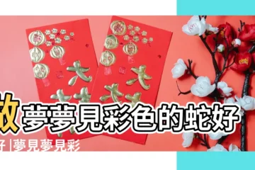 【做夢夢到蛇説它是彩虹】做夢夢見彩色的蛇好不好 |夢見夢見彩色的蛇 |