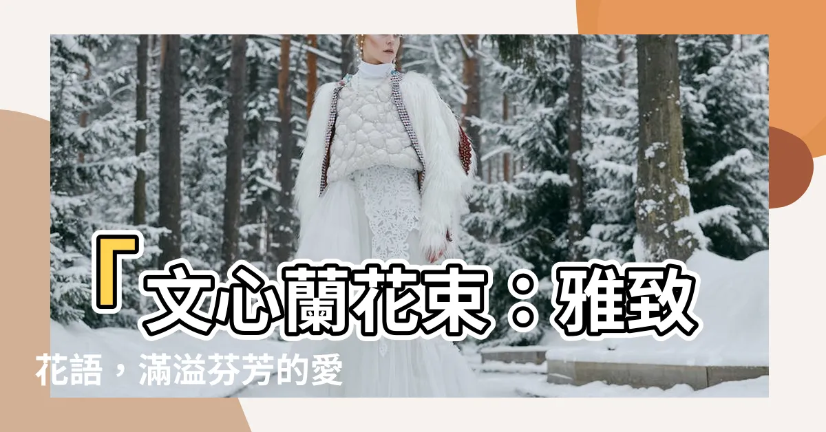 【文心蘭 花束】「文心蘭花束：雅緻花語，滿溢芬芳的愛意」