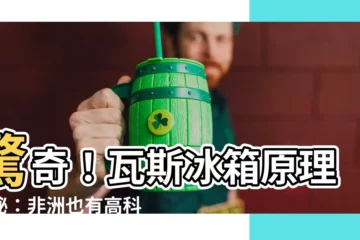 【瓦斯冰箱原理】驚奇！瓦斯冰箱原理揭秘：非洲也有高科技！