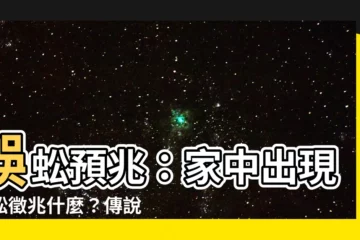 【蜈蚣預兆】蜈蚣預兆：家中出現蜈蚣徵兆什麼？傳説與科學一次看懂