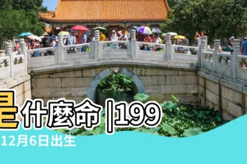 【1991年生日12月6的性格】是什麼命 |1991年12月6日出生日期看命運 |1991年12月6日出生日期測一生命運 |