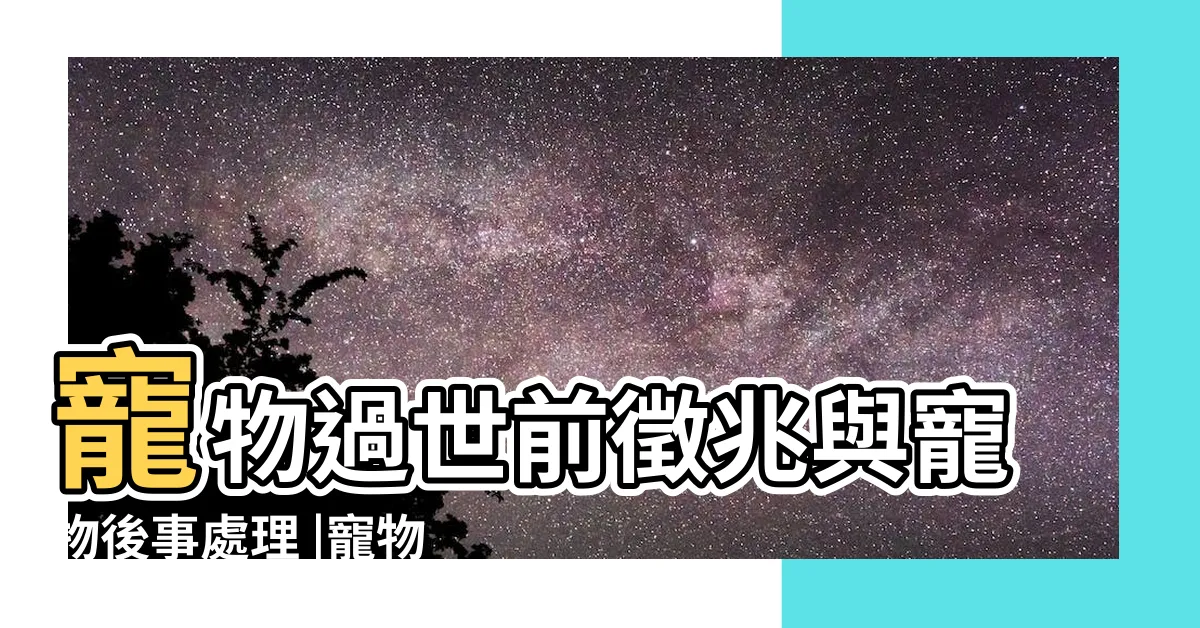【狗狗後事處理】寵物過世前徵兆與寵物後事處理 |寵物遺體處理方法有哪些3個需要注意的小細節 |單程旅行社 |