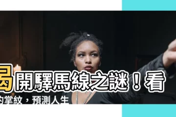 【驛馬線】揭開驛馬線之謎！看你的掌紋，預測人生旅途！