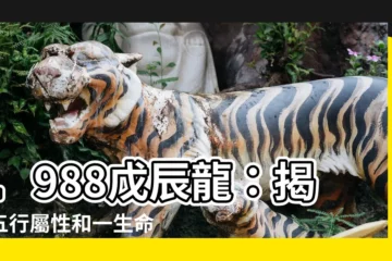 【1988 戊辰龍】1988戊辰龍：揭秘五行屬性和一生命運，愛情與事業配對宜忌！