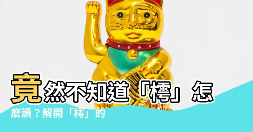 【樗注音】竟然不知道「樗」怎麼讀？解開「樗」的注音、釋義，讓你秒懂！