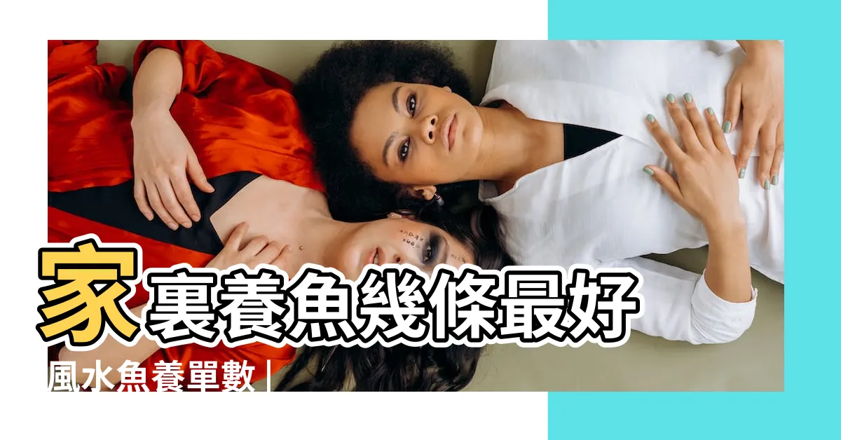 【魚養幾隻最吉利】家裏養魚幾條最好 |風水魚養單數 |觀賞魚養幾條吉利 |