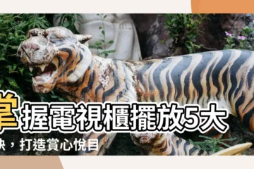 【電視櫃擺放】掌握電視櫃擺放5大秘訣，打造賞心悦目的完美客廳
