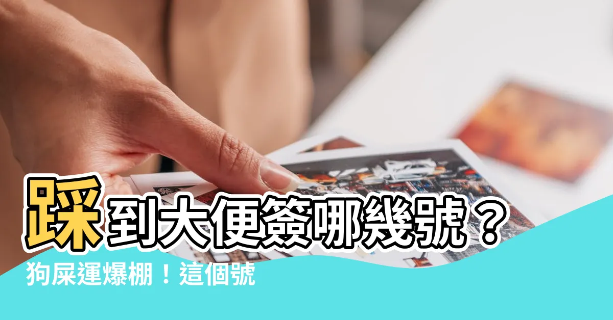 【踩到大便簽幾號】踩到大便簽哪幾號？狗屎運爆棚！這個號碼竟中了四個！