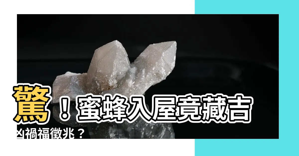 【蜜蜂入屋寓意】驚！蜜蜂入屋竟藏吉凶禍福徵兆？