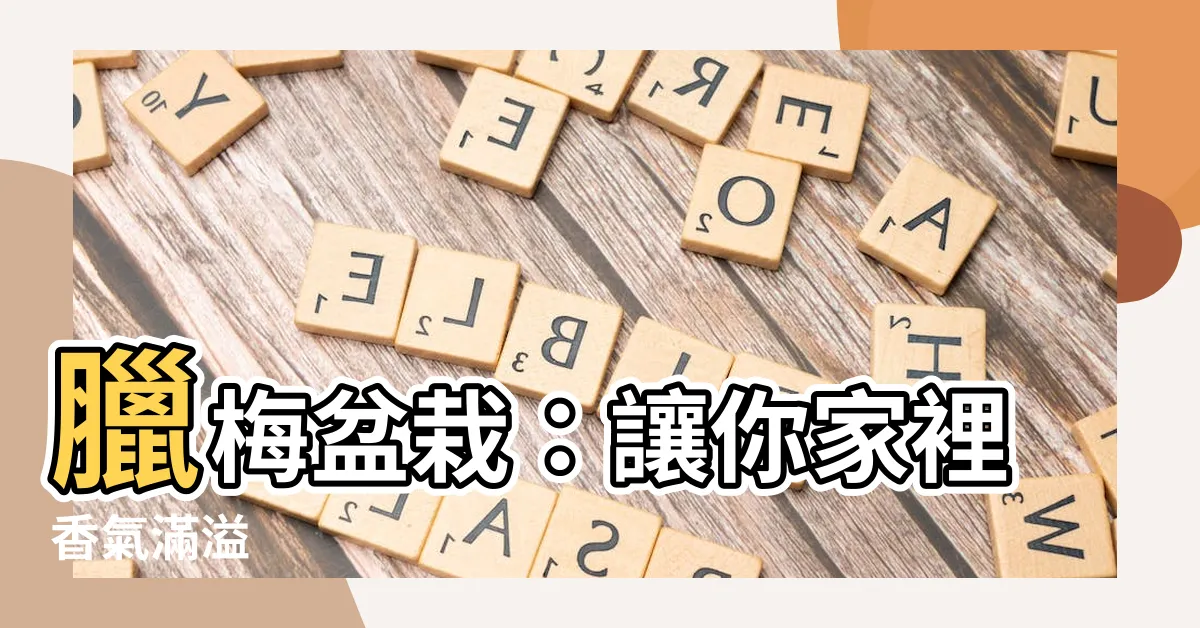 【臘梅盆栽】臘梅盆栽：讓你家裡香氣滿溢