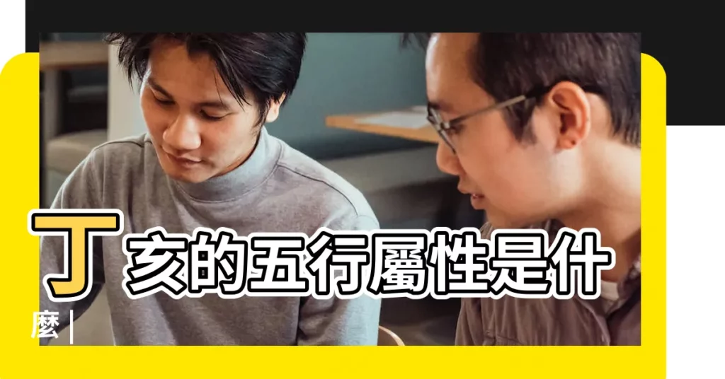 丁亥的五行屬性是什麼 |【丁亥五行】