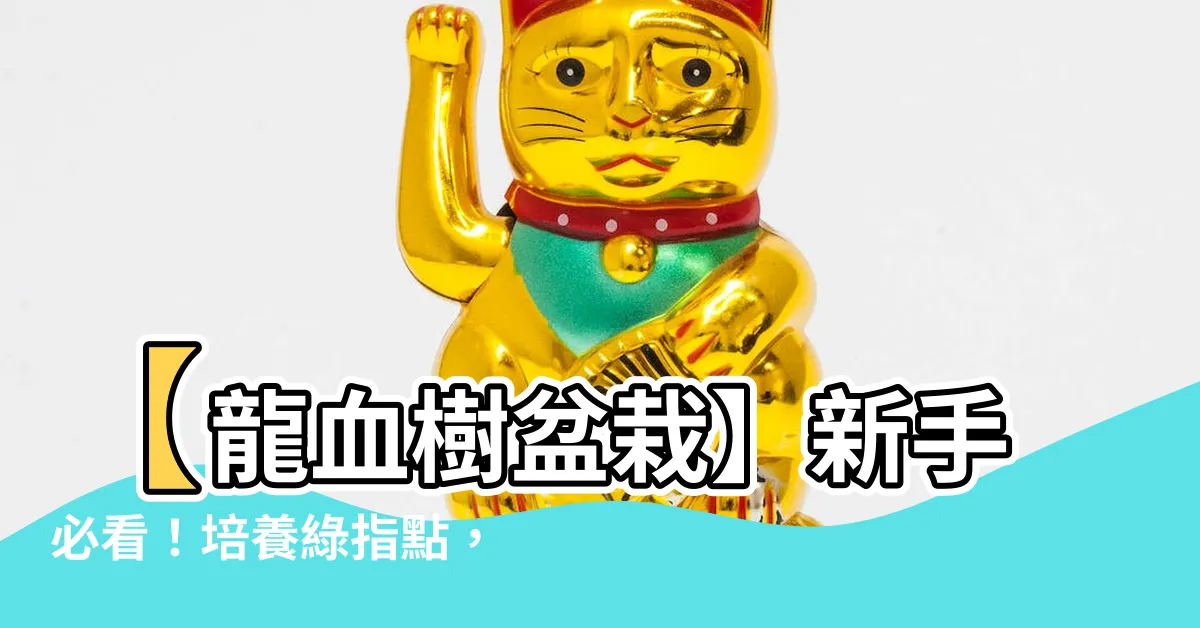 【龍血樹盆栽】【龍血樹盆栽】新手必看！培養綠指點，輕鬆打造綠意盎然空間！