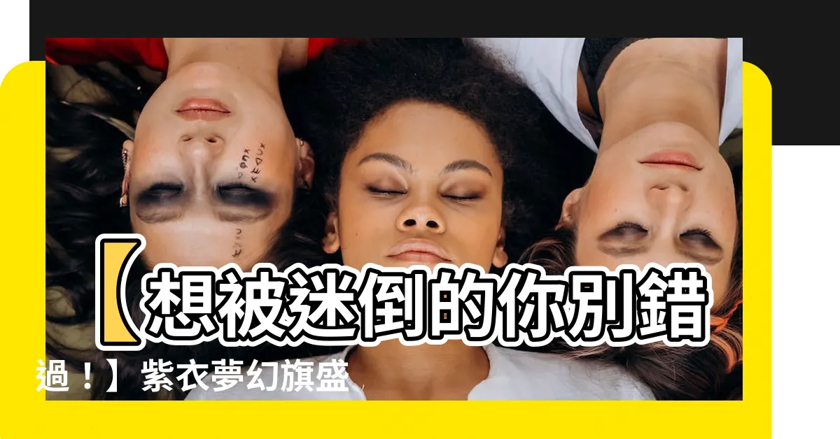 【紫衣夢幻旗】【想被迷倒的你別錯過！】紫衣夢幻旗盛況空前絕美的光影秀