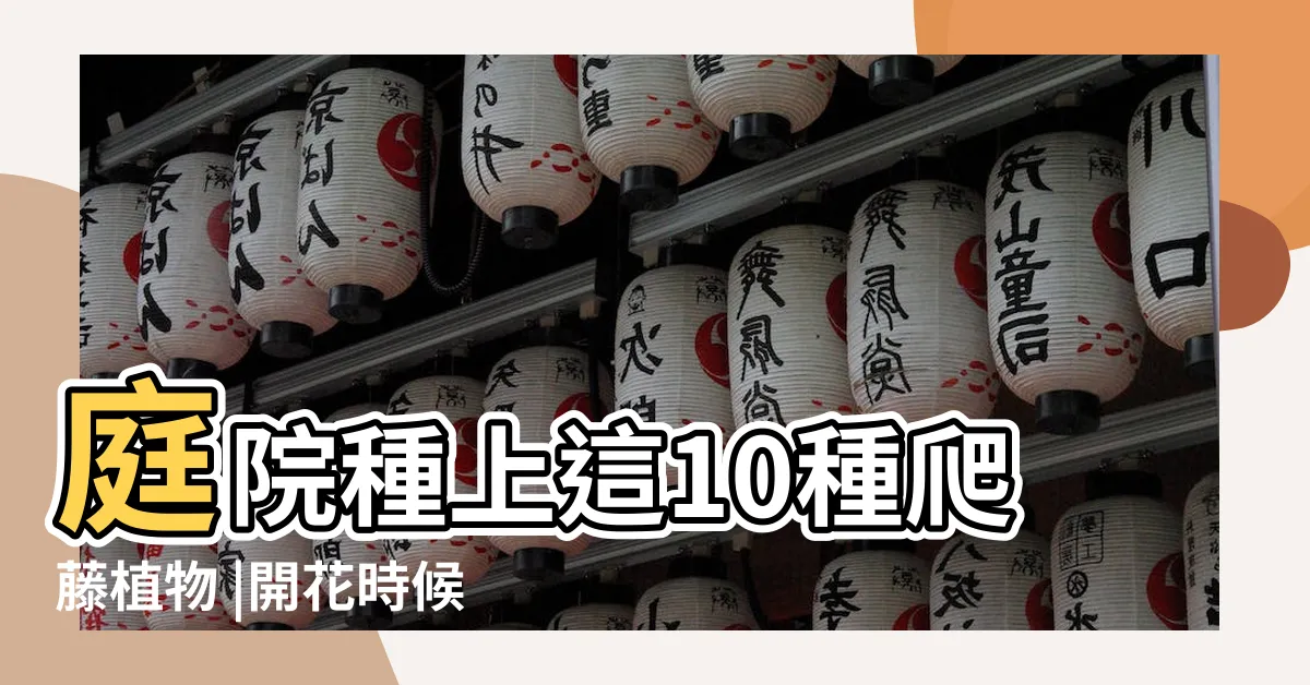 【攀爬植物】庭院種上這10種爬藤植物 |開花時候美呆了 |攀緣植物 |