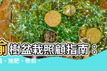 【榆樹盆栽照顧】榆樹盆栽照顧指南：種植、施肥、修剪、澆水秘訣