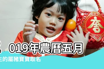 【2019陽曆5月女豬寶寶名字】2019年農曆五月出生的屬豬寶寶取名字配什麼字好呢 |2019屬豬五月寶寶起名大全 |2019年5月出生寶寶起名取名 |