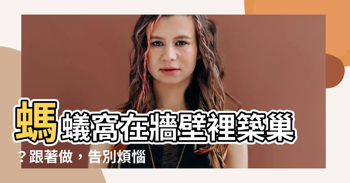 【螞蟻窩在牆壁裡】螞蟻窩在牆壁裡築巢？跟著做，告別煩惱！