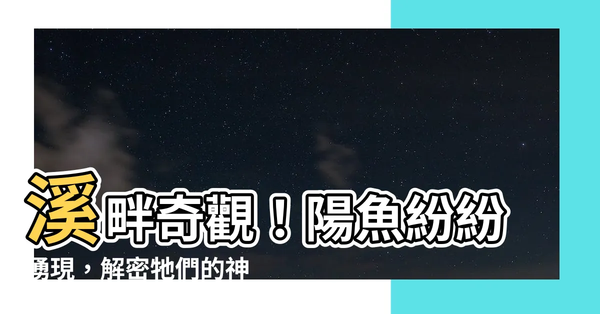 【陽魚】溪畔奇觀！陽魚紛紛湧現，解密牠們的神秘面紗