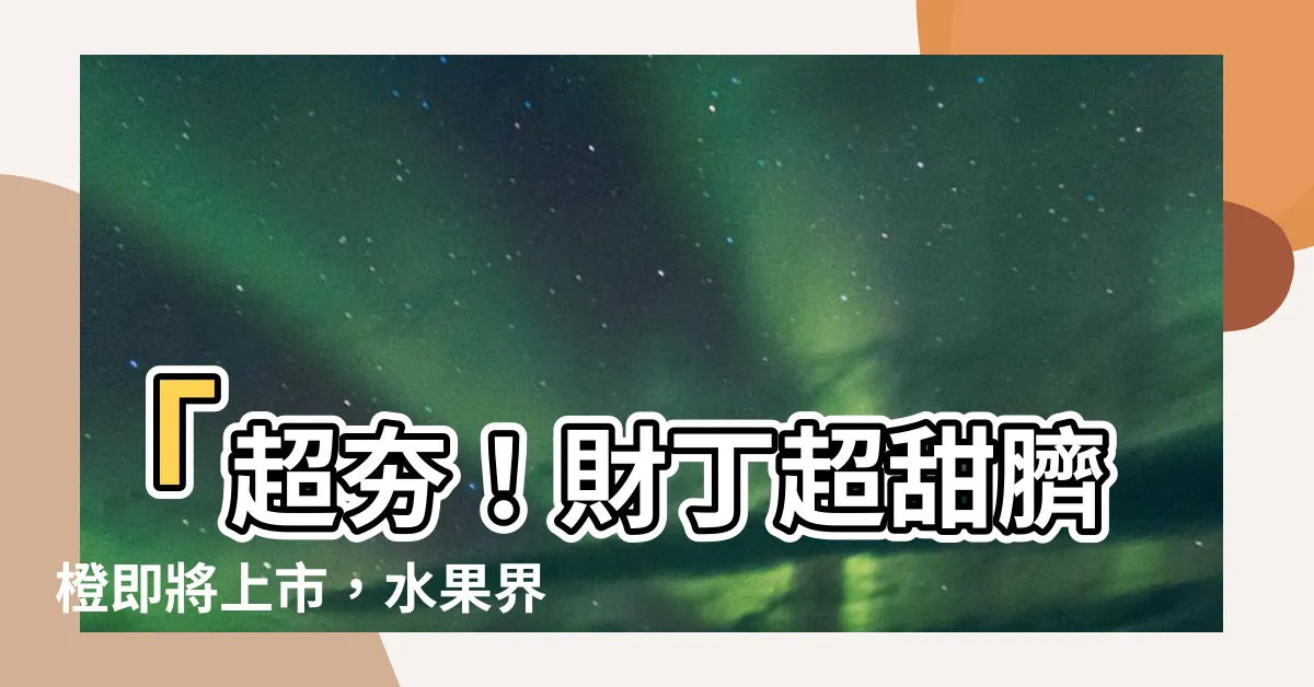 【財丁】「超夯！財丁超甜臍橙即將上市，水果界新寵！」