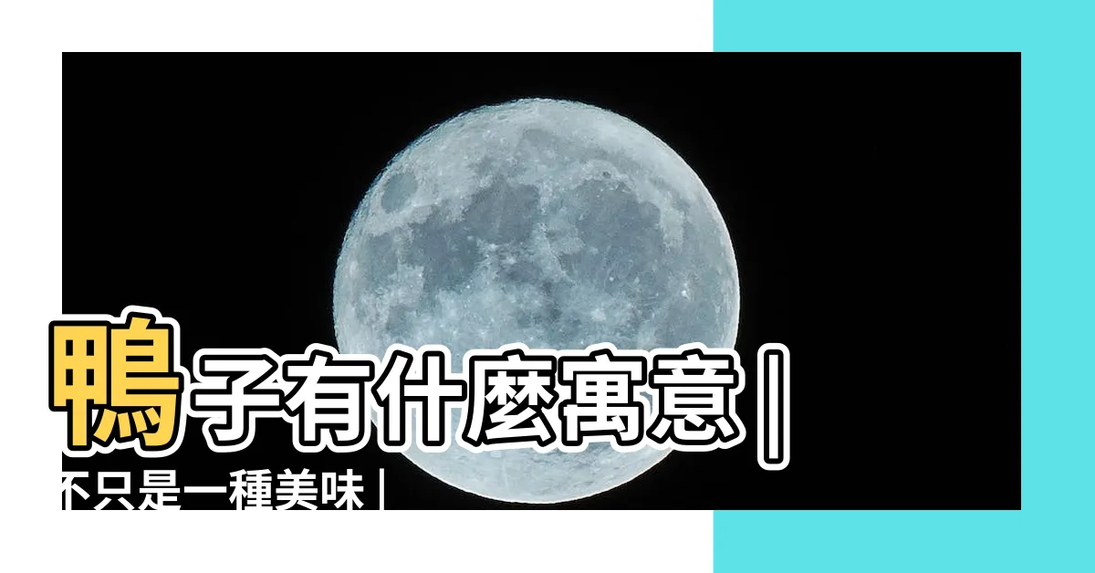 【鴨子代表什麼】鴨子有什麼寓意 |不只是一種美味 |鴨子象徵着什麼意義 |