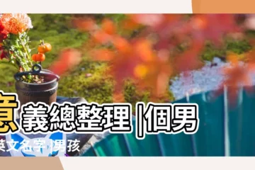 【男孩的英文名特別一點的】意義總整理 |個男生英文名字 |男孩英文名大全丨200個帥氣好聽好寓意的英文名 |