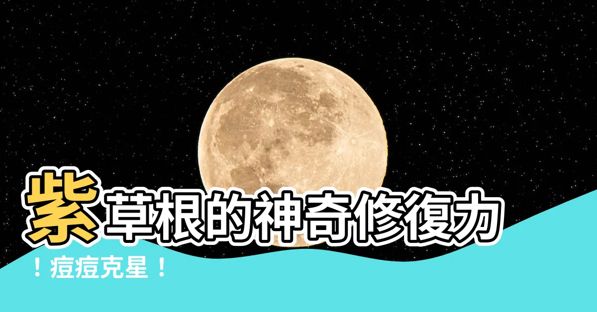 【紫草根功效】紫草根的神奇修復力！痘痘剋星！