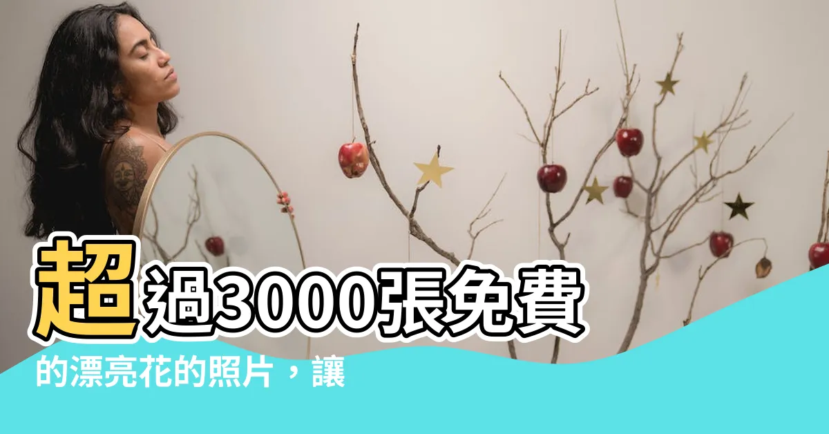 【漂亮花的照片】超過3000張免費的漂亮花的照片，讓你愛不釋手