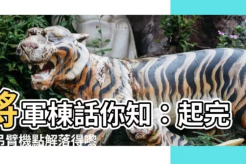 【將軍棟】將軍棟話你知：起完嘅吊臂機點解落得嚟？