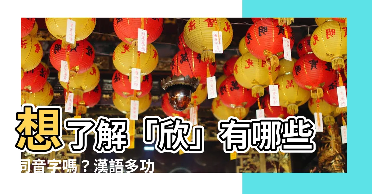 【欣 同音字】想瞭解「欣」有哪些同音字嗎？漢語多功能字庫告訴你！