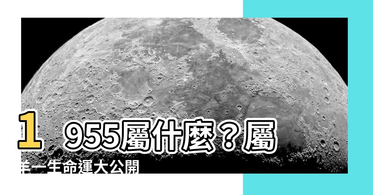 【1955年屬什麼】1955屬什麼？屬羊一生命運大公開