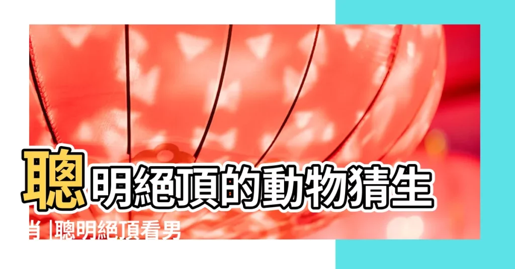 聰明絕頂的動物猜生肖 |聰明絕頂看男人是什麼動物 |絕頂聰明的動物 |【猜生肖聰明絕頂的動物】