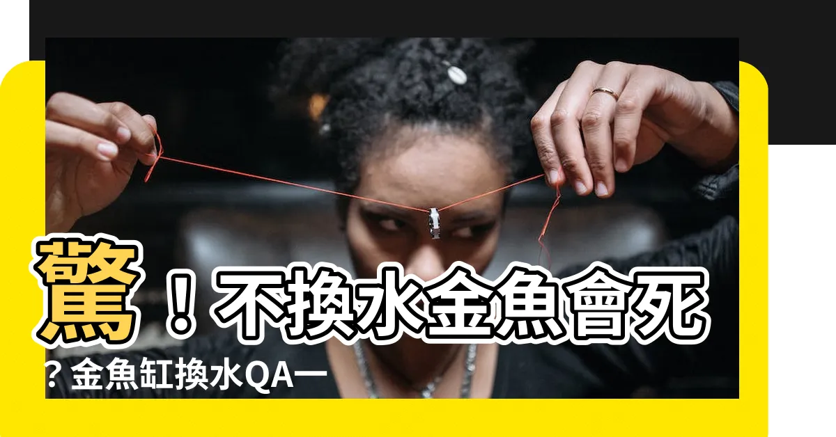 【金魚缸換水】驚！不換水金魚會死？金魚缸換水QA一次滿足