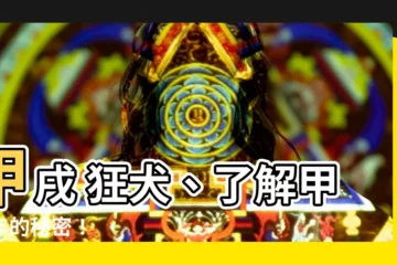 【甲戌 狂犬】甲戌 狂犬、瞭解甲戌年的秘密！