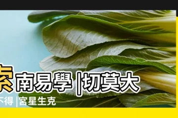 【八宅風水定吉凶】索南易學 |切莫大意不得 |宮星生克定吉凶 |