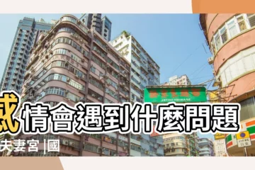 【天陀相羅在夫妻宮】感情會遇到什麼問題 |入夫妻宮 |國際紫微學會 |
