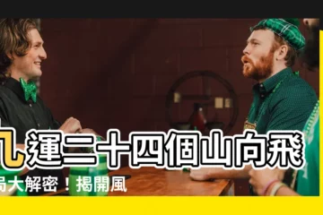 【九運二十四個山向飛星局】九運二十四個山向飛星局大解密！揭開風水致富密碼