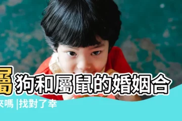 【老鼠和狗屬相配嗎】屬狗和屬鼠的婚姻合得來嗎 |找對了幸福一生 |屬鼠人的最佳姻緣和最差配對 |
