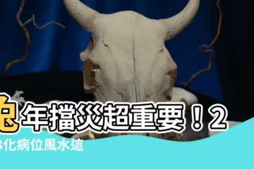【2023化病位】兔年擋災超重要！2023化病位風水這樣佈局就對了
