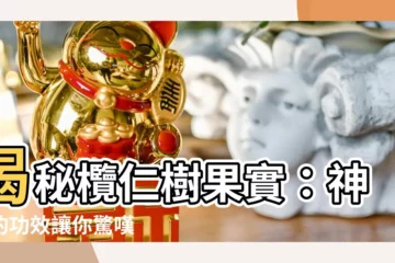 【欖仁樹果實功效】揭秘欖仁樹果實：神奇的功效讓你驚嘆