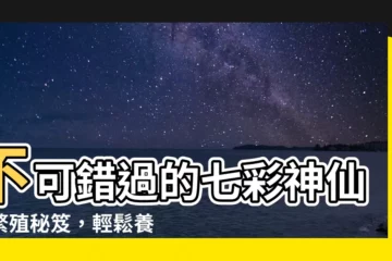 【神仙魚繁殖秘笈】不可錯過的七彩神仙魚繁殖秘笈，輕鬆養殖親魚、育兒！